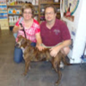 Meet your Posher, Kristine